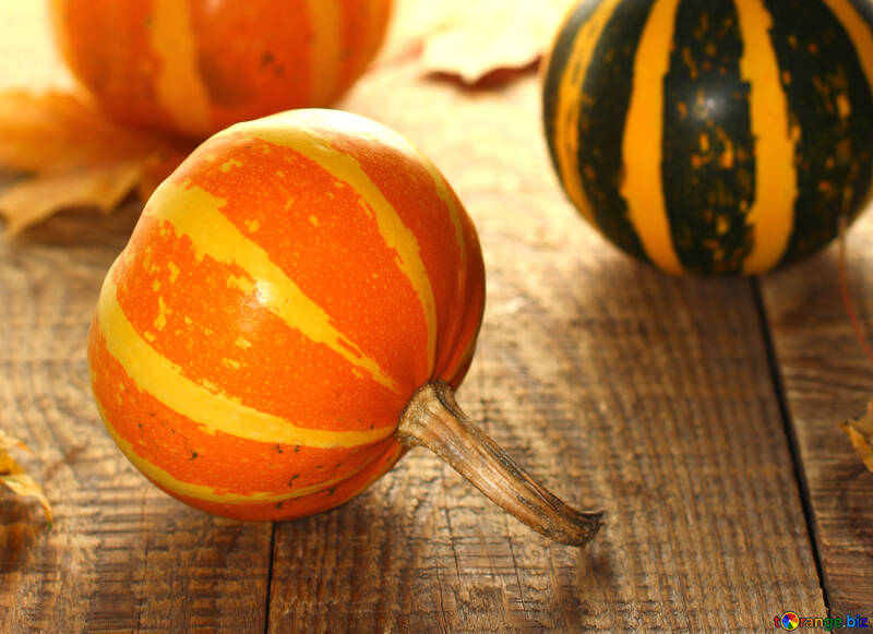 Decorative pumpkins №35258