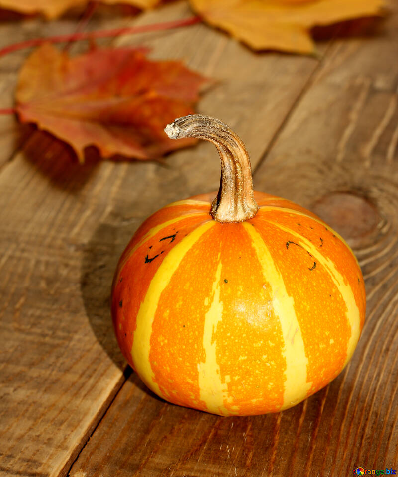 Pequeña calabaza en la mesa №35206