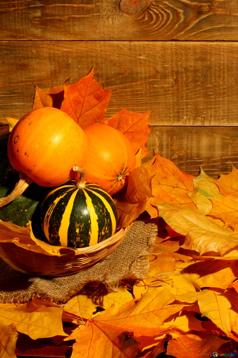 Pumpkins in the background boards №35354