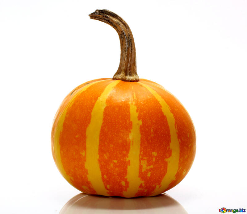 Beautiful pumpkin without background №35037