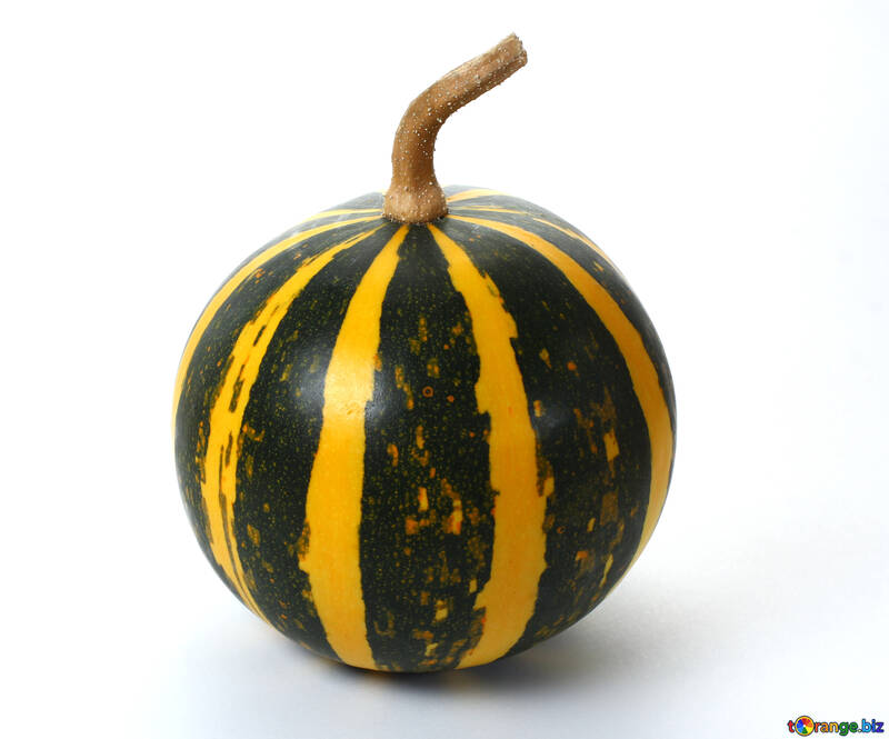Decorative pumpkin without background №35017