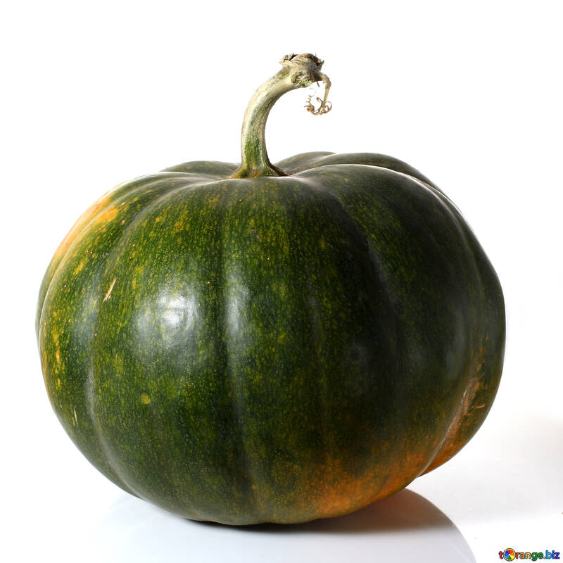 Green pumpkin with no background №35107