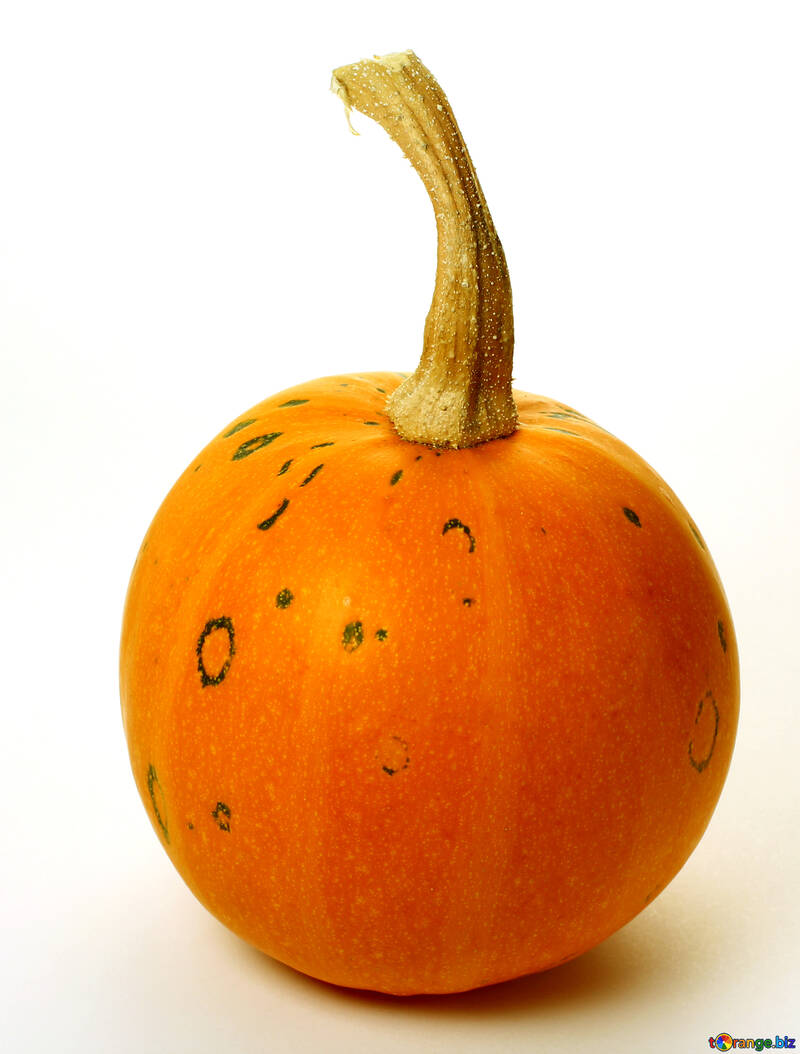 Round pumpkin without background №35032