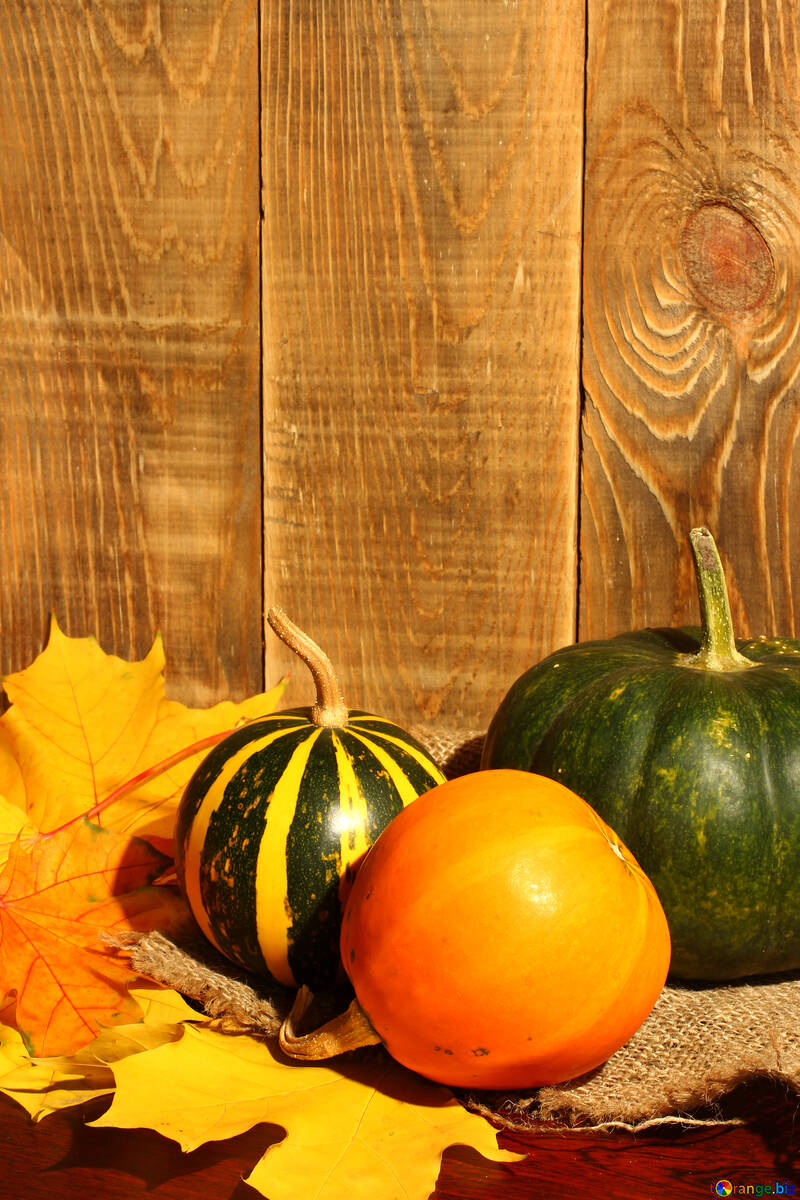 Pumpkin on background of wooden boards №35365
