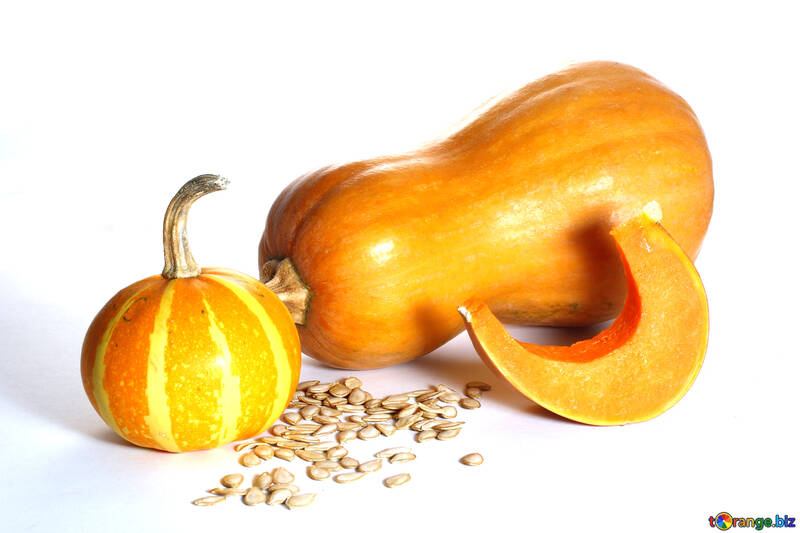 Reza isolation and pumpkin seeds №35557