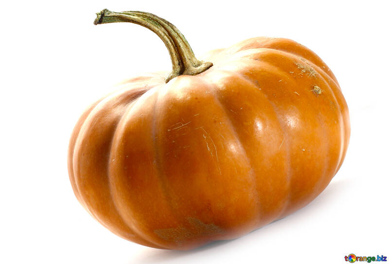 Pumpkin on white background with slope №35624