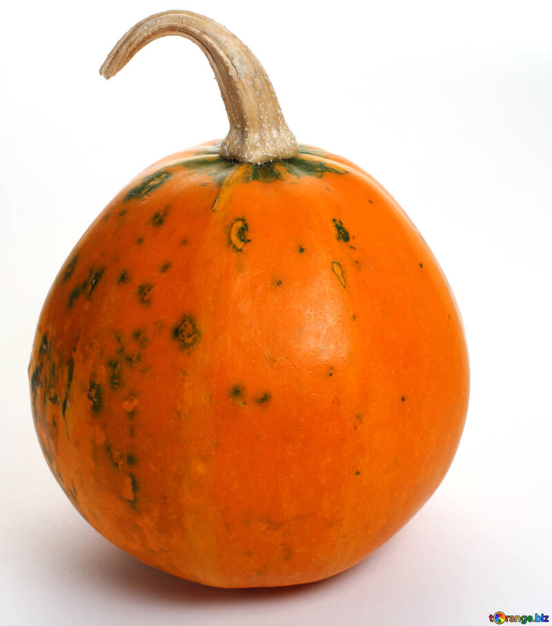 Pumpkin №35035