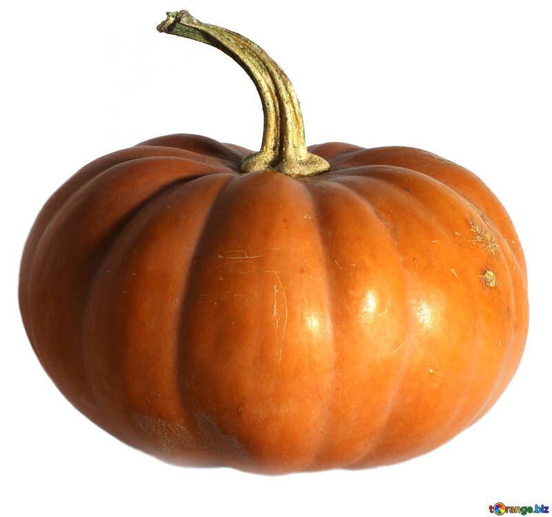 Pumpkin isolated on white background №35625