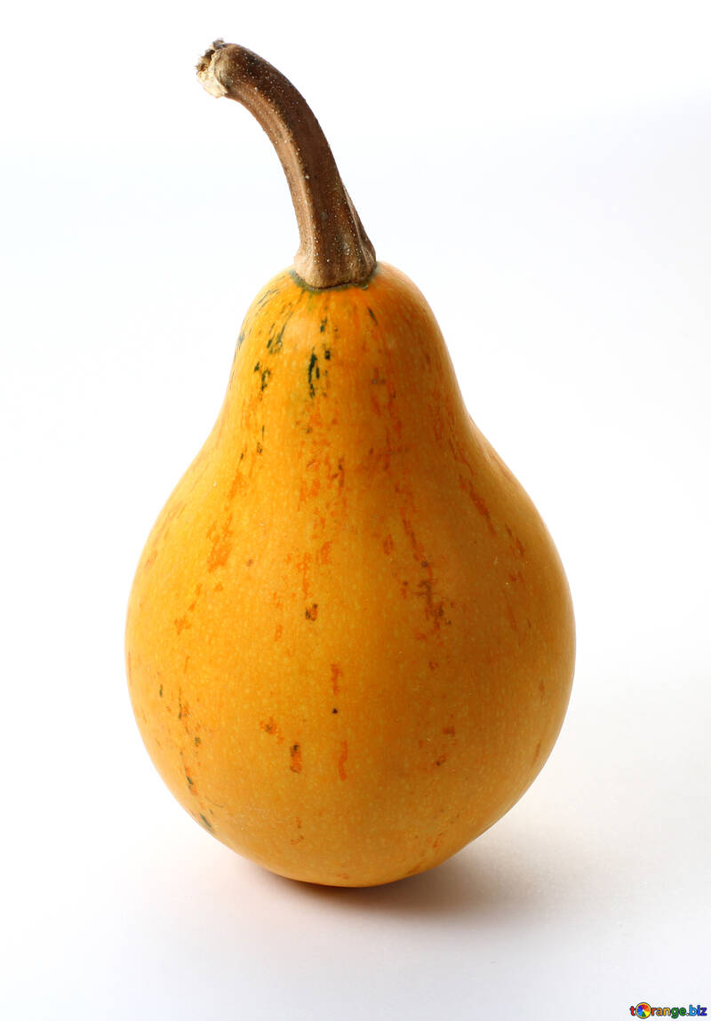 Pumpkin as pear in isolation №35002