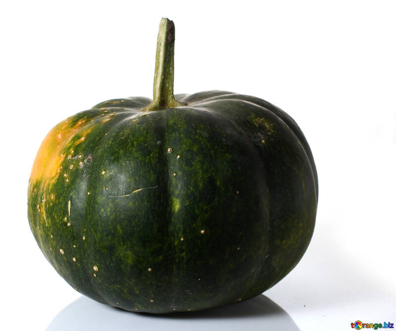 Pumpkin isolated on white background dark green pumpkin isolated