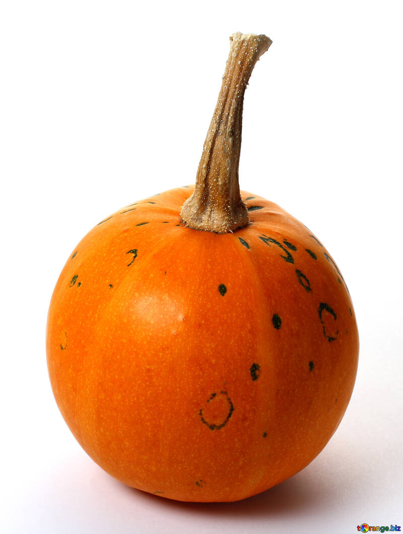 Decorative pumpkin №35029