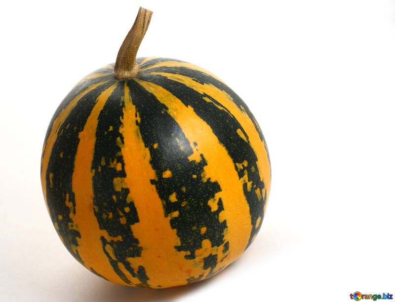 Decorative pumpkin in isolation №35026