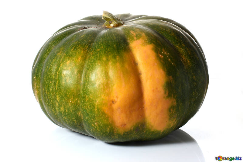 Not ripe pumpkin isolated №35104