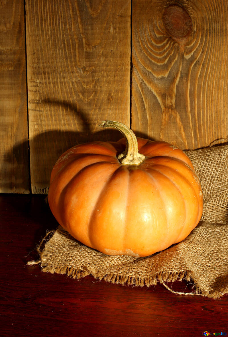Juicy pumpkin №35381