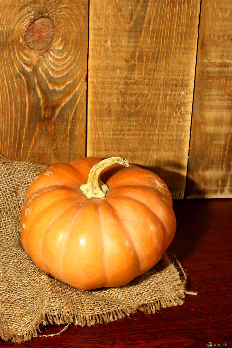 Ripe pumpkin №35380