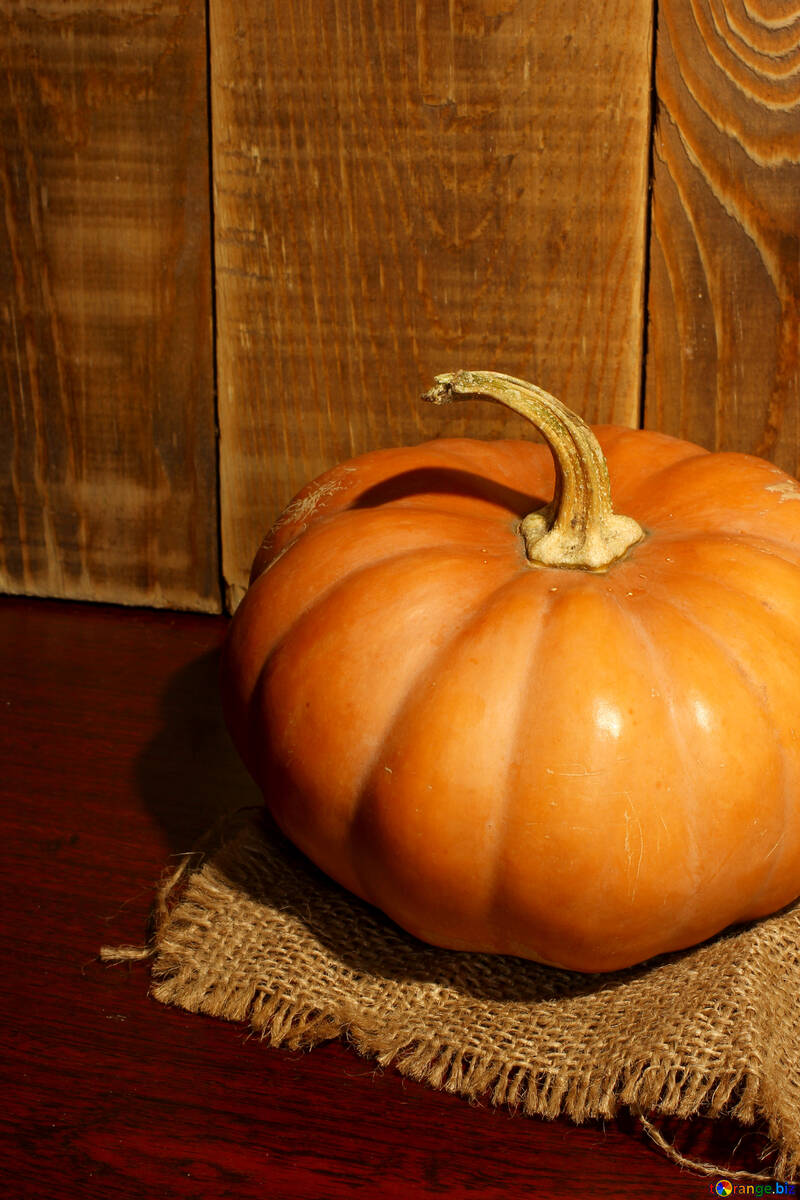 Ripe pumpkin №35383