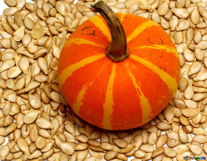 Pumpkin seeds on background of №35546