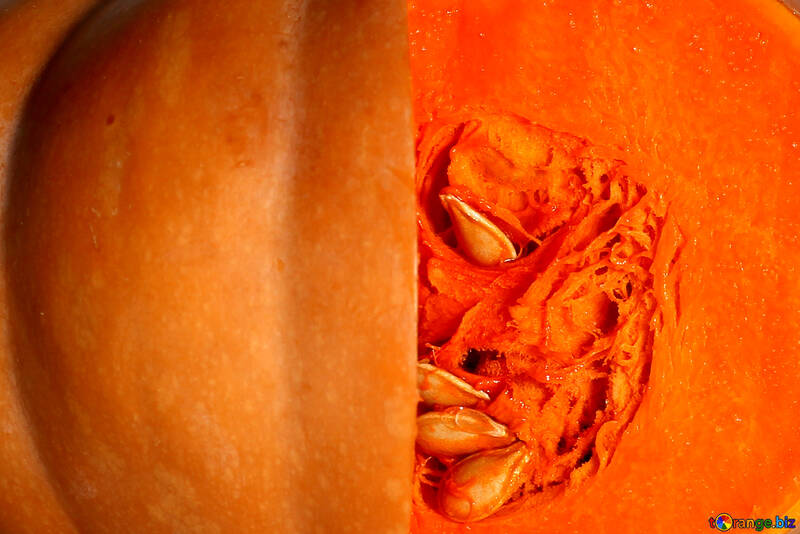 Inside the pumpkin №35606