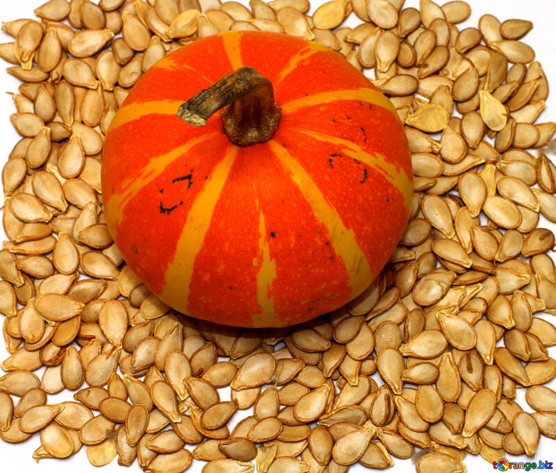 Pumpkin and sunflower seeds for background №35547