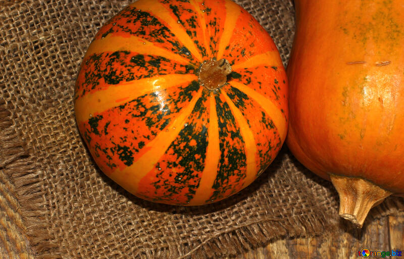 Useful pumpkin №35169
