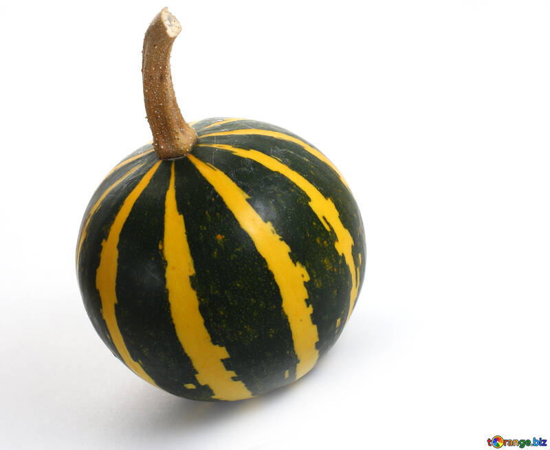 Small pumpkin on white background №35021