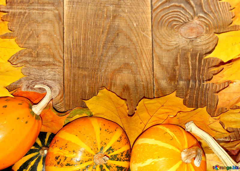 Autumn background with pumpkins №35233