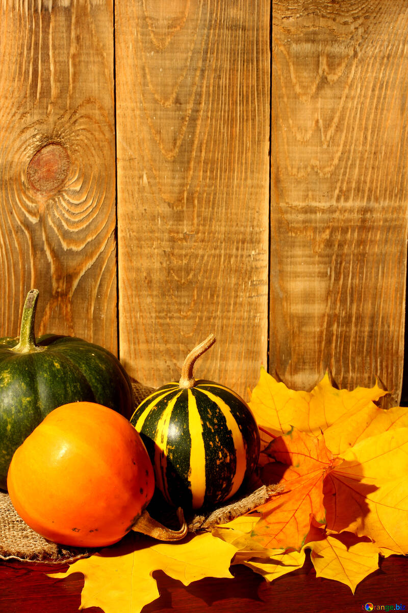 Background with pumpkins with space for writing №35363