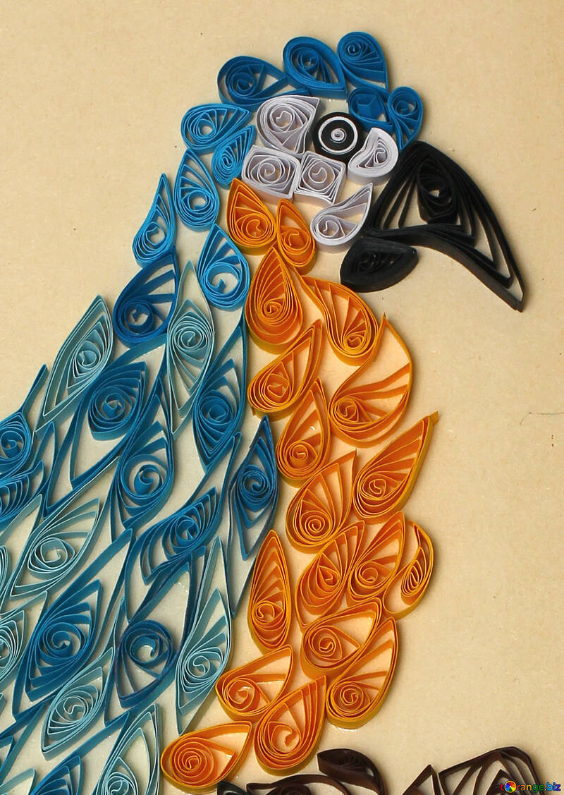 Loro de quilling №35488