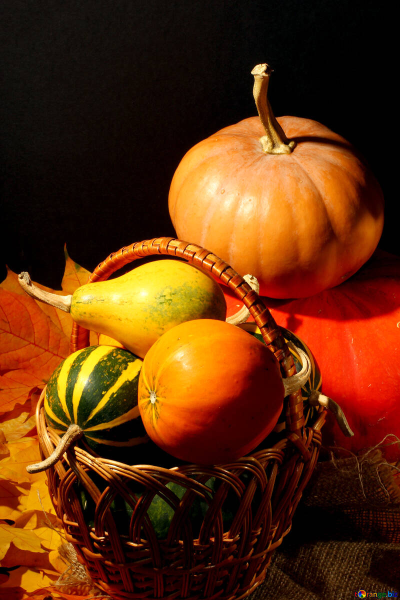 Autumn still-life picture for №35341