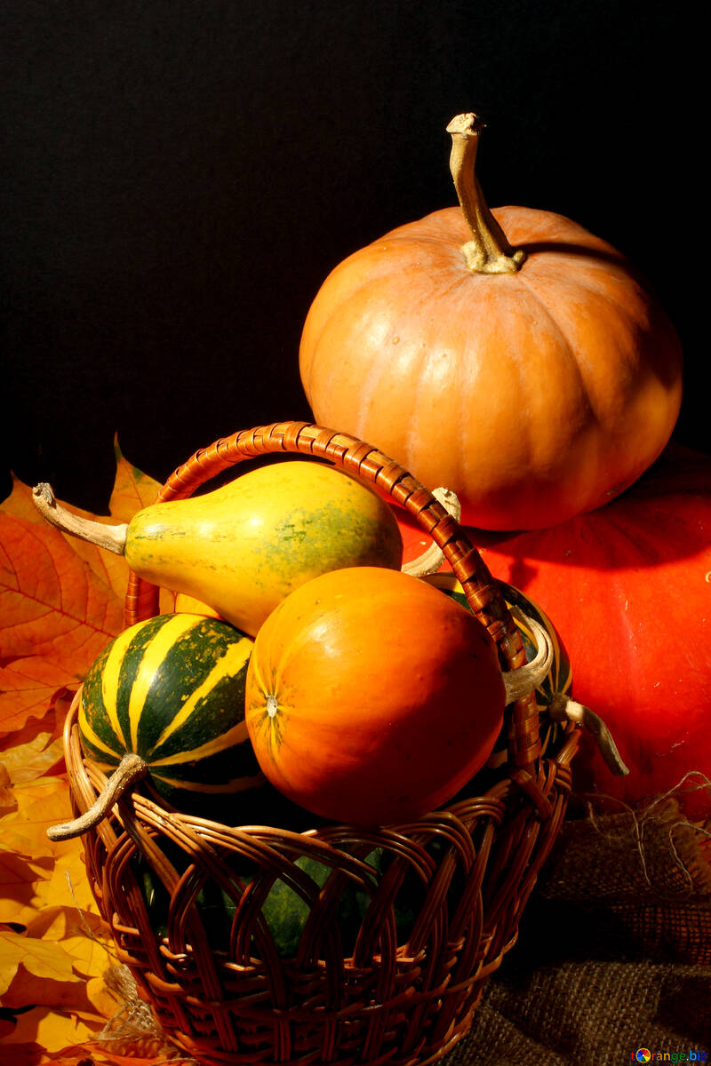 Photo de nature morte automne pour №35341