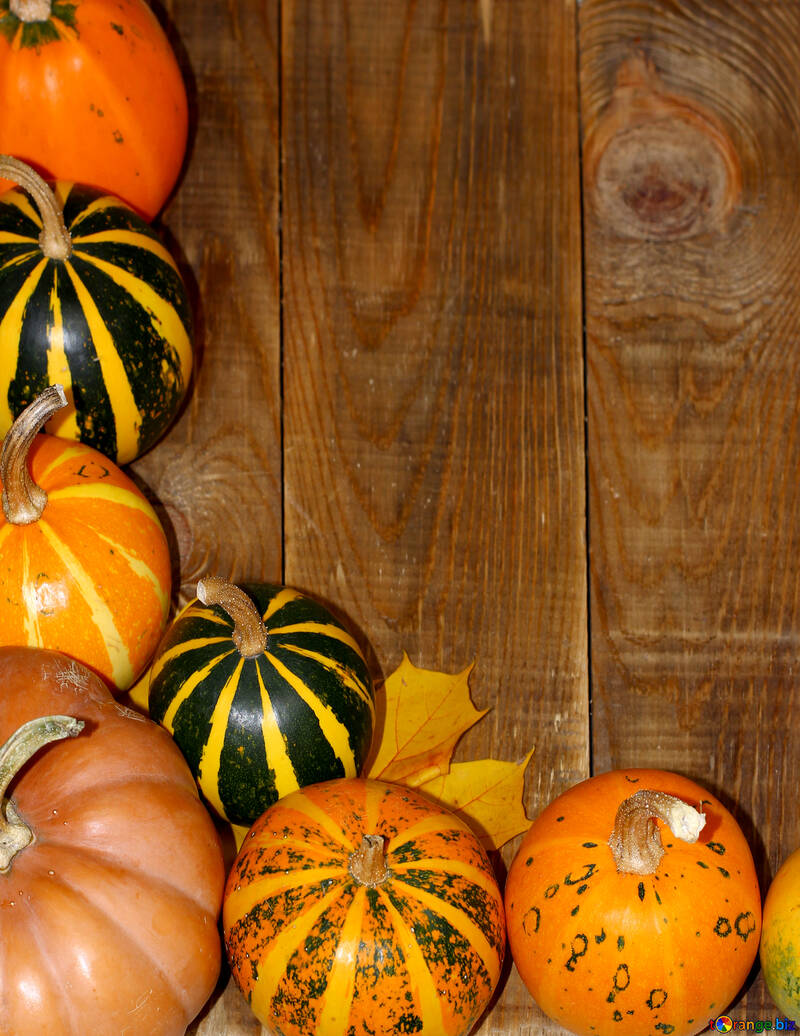 Autumn background with pumpkins №35214