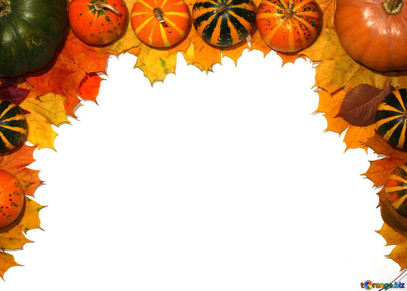 Autumn blank with pumpkins №35178