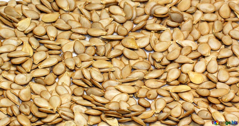 Texture of pumpkin seeds №35544