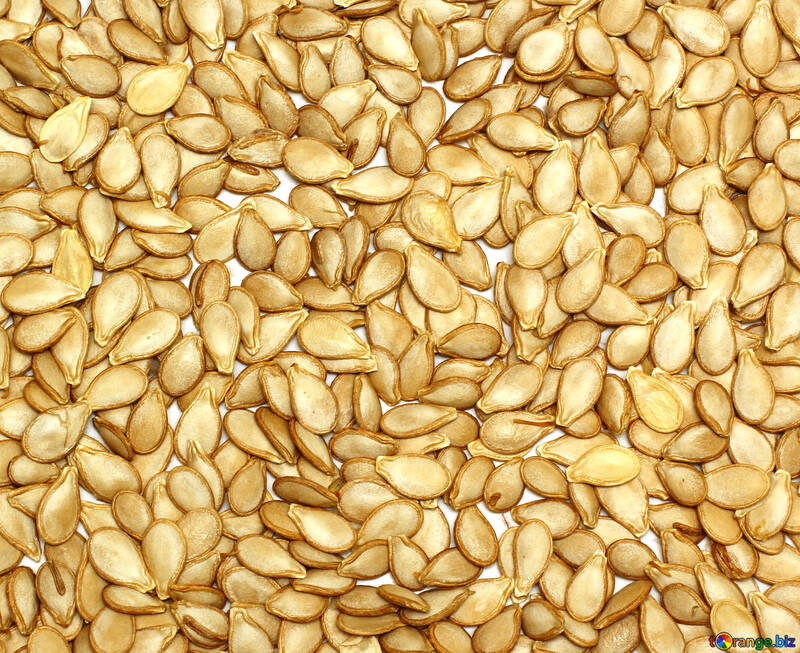 Texture of pumpkin seeds №35545