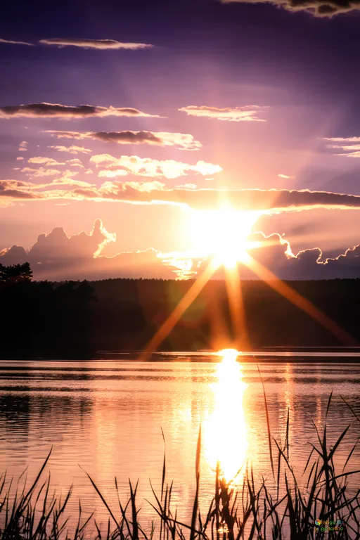 Відреставрована люксова версія Sunset Sunlit lake, silhouetted reeds, twilight sky №36482