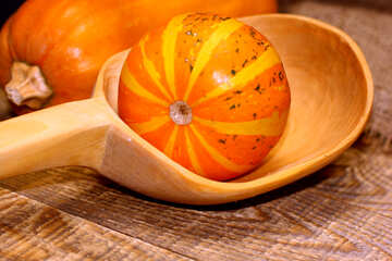 Pumpkin №36009