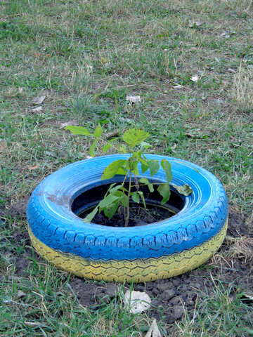 The use of tyres №36777