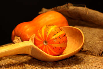 Pumpkin and spoon №36011