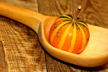 Pumpkin in spoon №36017