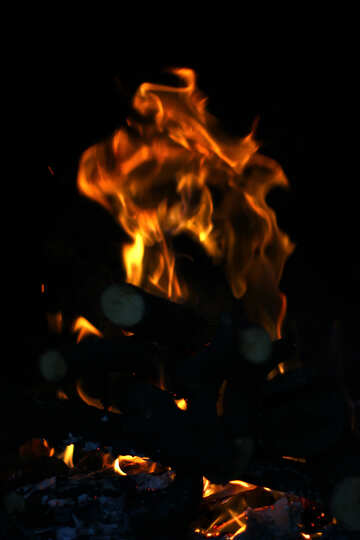 Bruciare la legna da ardere №36685