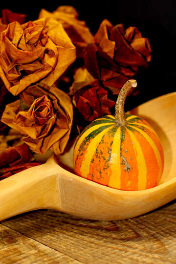 Autumn picture with pumpkin and spoon №36020