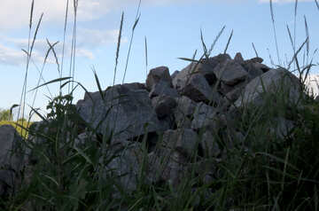 La hierba en las rocas №36744