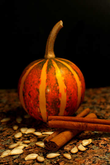 Pumpkin №36051