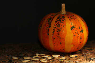 Pumpkin seeds №36065