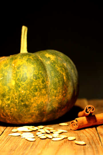 Pumpkin painting №36048