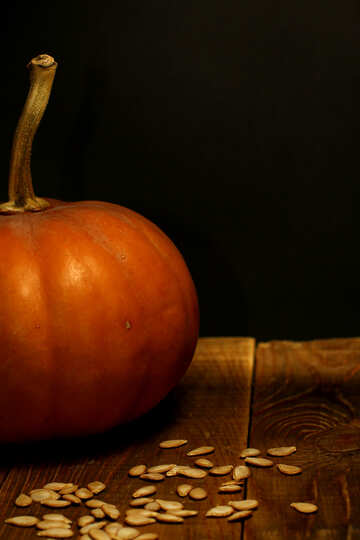 Pumpkin with seed №36044