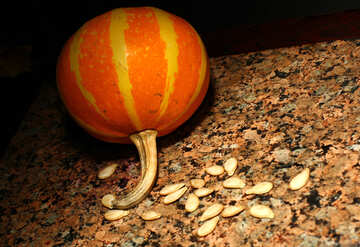 Pumpkin on the table №36061