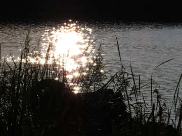 The reflections of the Sun in the river №36456