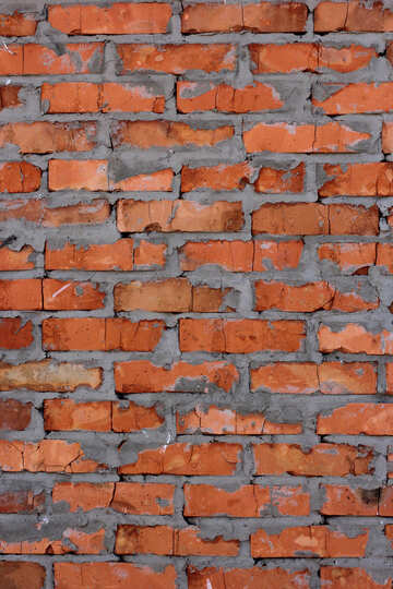 Texture brick №36886