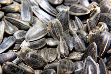Seeds №36230
